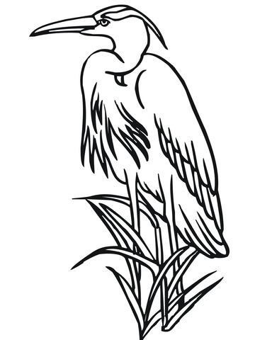 Heron In A Reed Coloring Page